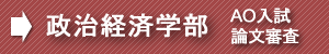 早稲田政経AO論文審査