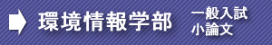 慶應環境情報小論文