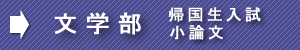 慶應文帰国生小論文