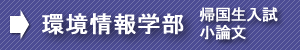 慶應環境情報帰国生小論文
