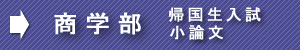 慶應商帰国生小論文