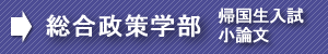 慶應総合政策帰国生小論文